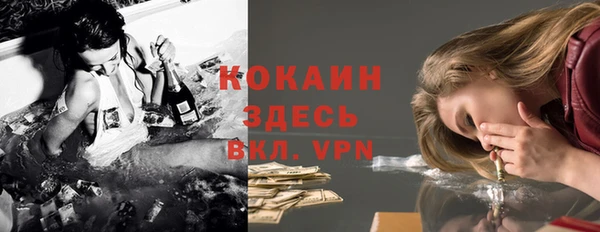 бошки Алзамай