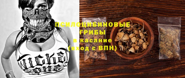 бошки Алзамай