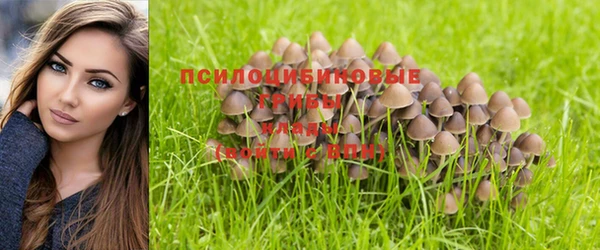 марки lsd Алексеевка
