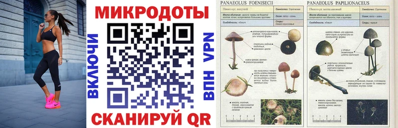 Галлюциногенные грибы Cubensis  наркота  Ардатов 